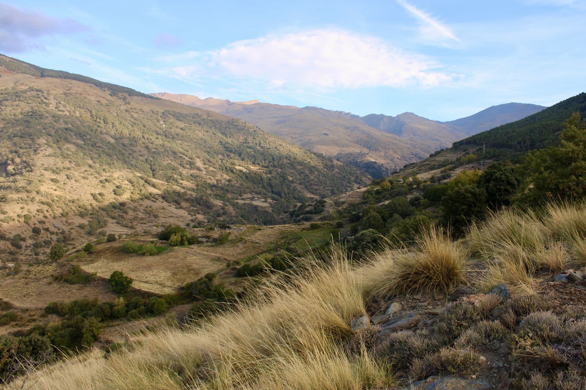 Sierra Nevada in Summer: Hiking, Mulhacén and the Mountain Villages (2026)